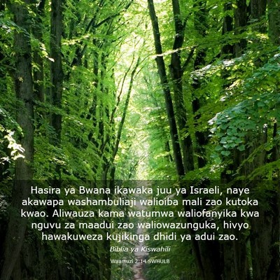 Picture 03 - Waamuzi 2:14 SWHULB - Hasira ya Bwana ikawaka juu ya Israeli, naye - Bible Verse Picture