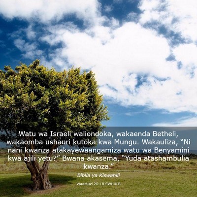 Picture 03 - Waamuzi 20:18 SWHULB - Watu wa Israeli waliondoka, wakaenda Betheli, - Bible Verse Picture