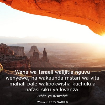 Picture 03 - Waamuzi 20:22 SWHULB - Wana wa Israeli walijitia nguvu wenyewe, na - Bible Verse Picture