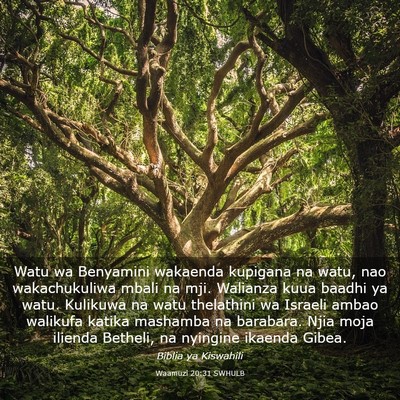 Picture 03 - Waamuzi 20:31 SWHULB - Watu wa Benyamini wakaenda kupigana na watu, nao - Bible Verse Picture