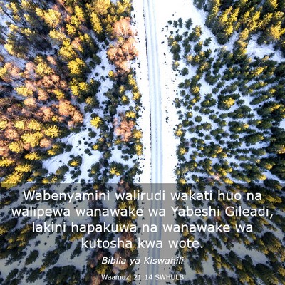Picture 03 - Waamuzi 21:14 SWHULB - Wabenyamini walirudi wakati huo na walipewa - Bible Verse Picture