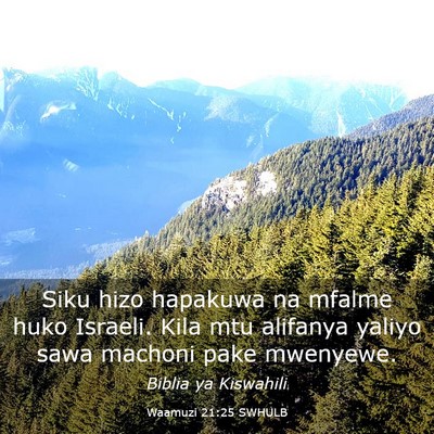 Picture 03 - Waamuzi 21:25 SWHULB - Siku hizo hapakuwa na mfalme huko Israeli. Kila - Bible Verse Picture