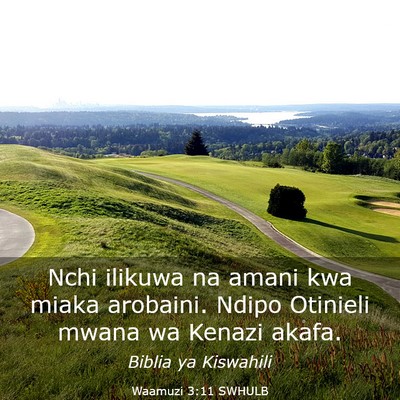 Picture 03 - Waamuzi 3:11 SWHULB - Nchi ilikuwa na amani kwa miaka arobaini. Ndipo - Bible Verse Picture