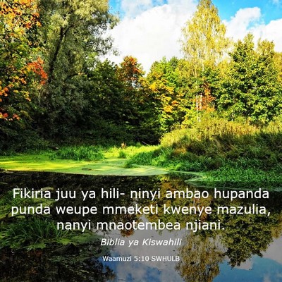 Picture 03 - Waamuzi 5:10 SWHULB - Fikiria juu ya hili- ninyi ambao hupanda punda - Bible Verse Picture