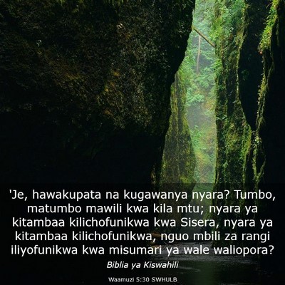 Picture 03 - Waamuzi 5:30 SWHULB - 'Je, hawakupata na kugawanya nyara? Tumbo, - Bible Verse Picture
