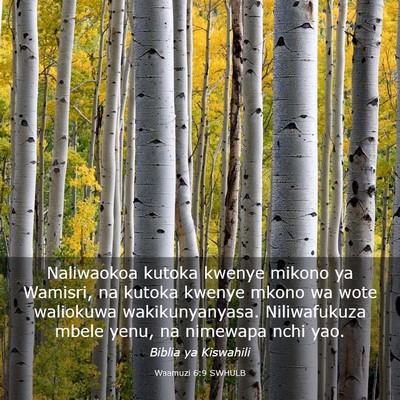 Picture 03 - Waamuzi 6:9 SWHULB - Naliwaokoa kutoka kwenye mikono ya Wamisri, na - Bible Verse Picture