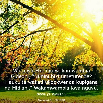 Picture 03 - Waamuzi 8:1 SWHULB - Watu wa Efraimu wakamwambia Gideoni, “Ni nini - Bible Verse Picture