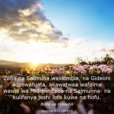 Picture 03 - Waamuzi 8:12 SWHULB - Zeba na Salmuna walikimbia, na Gideoni - Bible Verse Picture