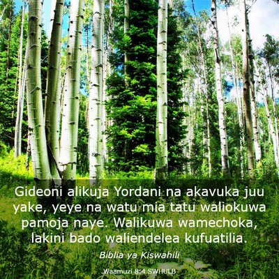 Picture 03 - Waamuzi 8:4 SWHULB - Gideoni alikuja Yordani na akavuka juu yake, yeye - Bible Verse Picture