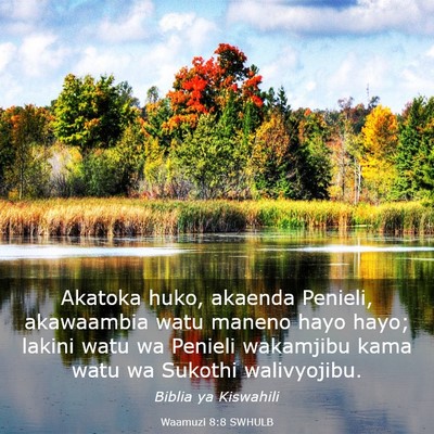 Picture 03 - Waamuzi 8:8 SWHULB - Akatoka huko, akaenda Penieli, akawaambia watu - Bible Verse Picture