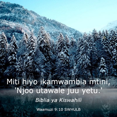 Picture 03 - Waamuzi 9:10 SWHULB - Miti hiyo ikamwambia mtini, 'Njoo utawale juu - Bible Verse Picture