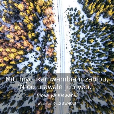 Picture 03 - Waamuzi 9:12 SWHULB - Miti hiyo ikamwambia mzabibu, 'Njoo utawale juu - Bible Verse Picture