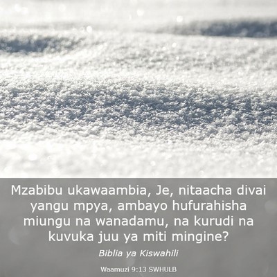 Picture 03 - Waamuzi 9:13 SWHULB - Mzabibu ukawaambia, Je, nitaacha divai yangu - Bible Verse Picture