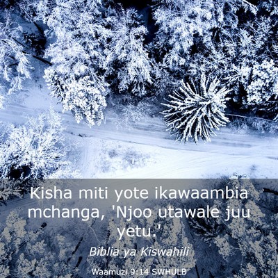 Picture 03 - Waamuzi 9:14 SWHULB - Kisha miti yote ikawaambia mchanga, 'Njoo utawale - Bible Verse Picture