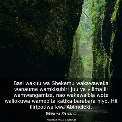 Picture 03 - Waamuzi 9:25 SWHULB - Basi wakuu wa Shekemu wakawaweka wanaume - Bible Verse Picture