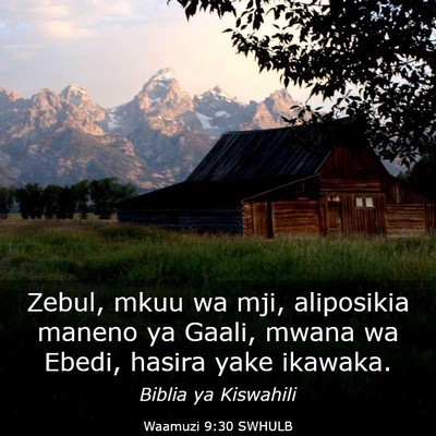 Picture 03 - Waamuzi 9:30 SWHULB - Zebul, mkuu wa mji, aliposikia maneno ya Gaali, - Bible Verse Picture