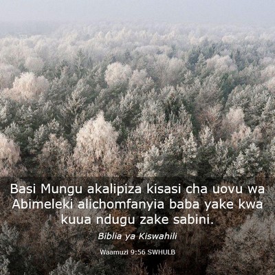 Picture 03 - Waamuzi 9:56 SWHULB - Basi Mungu akalipiza kisasi cha uovu wa Abimeleki - Bible Verse Picture