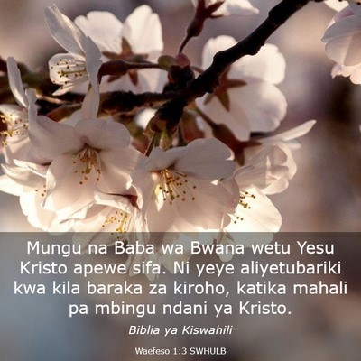 Picture 03 - Waefeso 1:3 SWHULB - Mungu na Baba wa Bwana wetu Yesu Kristo apewe - Bible Verse Picture