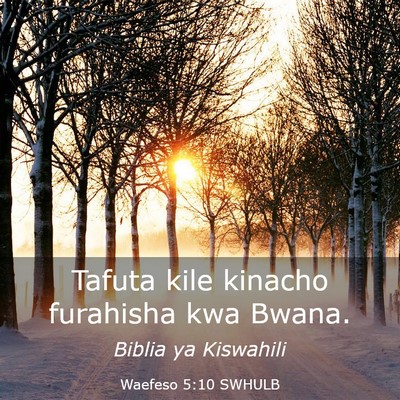 Picture 03 - Waefeso 5:10 SWHULB - Tafuta kile kinacho furahisha kwa - Bible Verse Picture