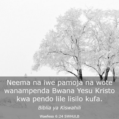Picture 03 - Waefeso 6:24 SWHULB - Neema na iwe pamoja na wote wanampenda Bwana Yesu - Bible Verse Picture