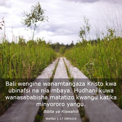 Picture 03 - Wafilipi 1:17 SWHULB - Bali wengine wanamtangaza Kristo kwa ubinafsi na - Bible Verse Picture