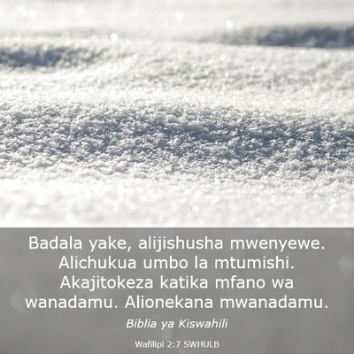 Picture 03 - Wafilipi 2:7 SWHULB - Badala yake, alijishusha mwenyewe. Alichukua umbo - Bible Verse Picture