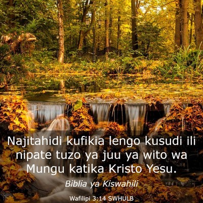 Picture 03 - Wafilipi 3:14 SWHULB - Najitahidi kufikia lengo kusudi ili nipate tuzo - Bible Verse Picture