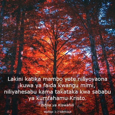 Picture 03 - Wafilipi 3:7 SWHULB - Lakini katika mambo yote niliyoyaona kuwa ya - Bible Verse Picture