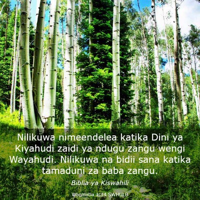 Picture 03 - Wagalatia 1:14 SWHULB - Nilikuwa nimeendelea katika Dini ya Kiyahudi - Bible Verse Picture