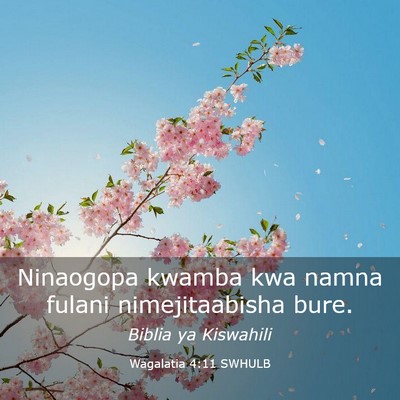 Picture 03 - Wagalatia 4:11 SWHULB - Ninaogopa kwamba kwa namna fulani nimejitaabisha - Bible Verse Picture