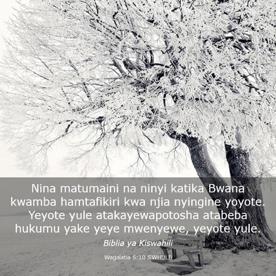 Picture 03 - Wagalatia 5:10 SWHULB - Nina matumaini na ninyi katika Bwana kwamba - Bible Verse Picture