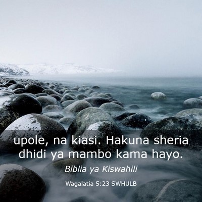 Picture 03 - Wagalatia 5:23 SWHULB - upole, na kiasi. Hakuna sheria dhidi ya mambo - Bible Verse Picture