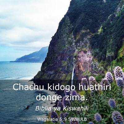 Picture 03 - Wagalatia 5:9 SWHULB - Chachu kidogo huathiri donge - Bible Verse Picture