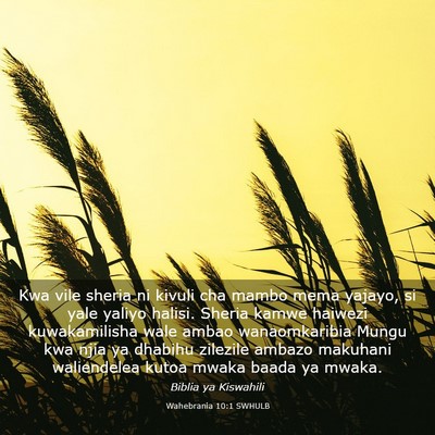 Picture 03 - Wahebrania 10:1 SWHULB - Kwa vile sheria ni kivuli cha mambo mema yajayo, - Bible Verse Picture