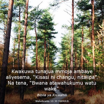 Picture 03 - Wahebrania 10:30 SWHULB - Kwakuwa tunajua mmoja ambaye aliyesema, “Kisasi - Bible Verse Picture