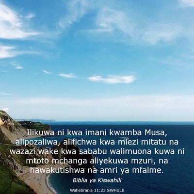Picture 03 - Wahebrania 11:23 SWHULB - Ilikuwa ni kwa imani kwamba Musa, alipozaliwa, - Bible Verse Picture