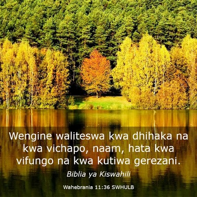 Picture 03 - Wahebrania 11:36 SWHULB - Wengine waliteswa kwa dhihaka na kwa vichapo, - Bible Verse Picture