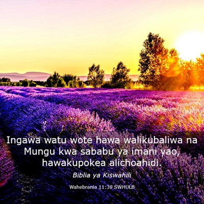 Picture 03 - Wahebrania 11:39 SWHULB - Ingawa watu wote hawa walikubaliwa na Mungu kwa - Bible Verse Picture