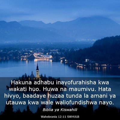 Picture 03 - Wahebrania 12:11 SWHULB - Hakuna adhabu inayofurahisha kwa wakati huo. Huwa - Bible Verse Picture