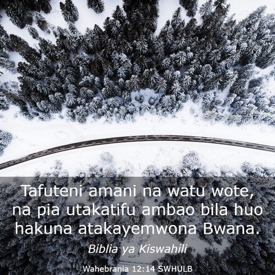 Picture 03 - Wahebrania 12:14 SWHULB - Tafuteni amani na watu wote, na pia utakatifu - Bible Verse Picture