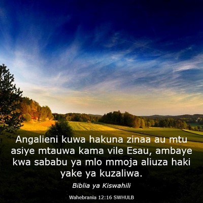 Picture 03 - Wahebrania 12:16 SWHULB - Angalieni kuwa hakuna zinaa au mtu asiye mtauwa - Bible Verse Picture