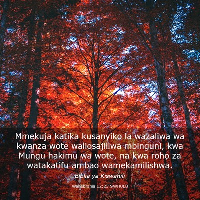 Picture 03 - Wahebrania 12:23 SWHULB - Mmekuja katika kusanyiko la wazaliwa wa kwanza - Bible Verse Picture