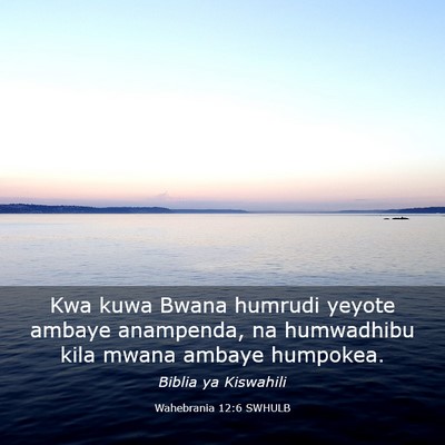Picture 03 - Wahebrania 12:6 SWHULB - Kwa kuwa Bwana humrudi yeyote ambaye anampenda, - Bible Verse Picture