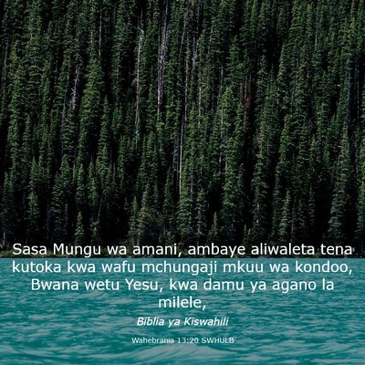 Picture 03 - Wahebrania 13:20 SWHULB - Sasa Mungu wa amani, ambaye aliwaleta tena kutoka - Bible Verse Picture