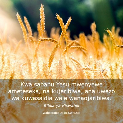 Picture 03 - Wahebrania 2:18 SWHULB - Kwa sababu Yesu mwenyewe ameteseka, na - Bible Verse Picture