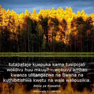 Picture 03 - Wahebrania 2:3 SWHULB - tutapataje kuepuka kama tusipojali wokovu huu - Bible Verse Picture