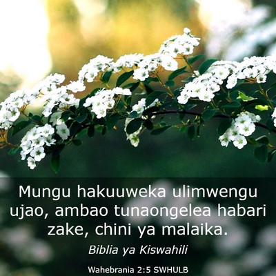 Picture 03 - Wahebrania 2:5 SWHULB - Mungu hakuuweka ulimwengu ujao, ambao tunaongelea - Bible Verse Picture