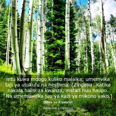 Picture 03 - Wahebrania 2:7 SWHULB - mtu kuwa mdogo kuliko malaika; umemvika taji ya - Bible Verse Picture