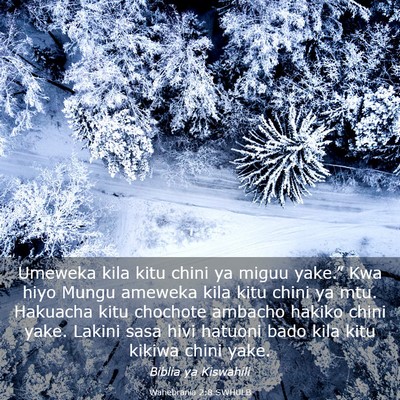 Picture 03 - Wahebrania 2:8 SWHULB - Umeweka kila kitu chini ya miguu yake.” Kwa - Bible Verse Picture