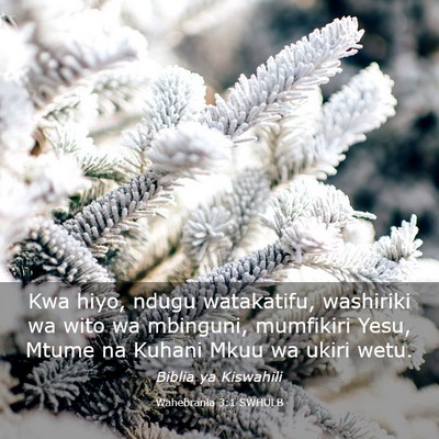 Picture 03 - Wahebrania 3:1 SWHULB - Kwa hiyo, ndugu watakatifu, washiriki wa wito wa - Bible Verse Picture